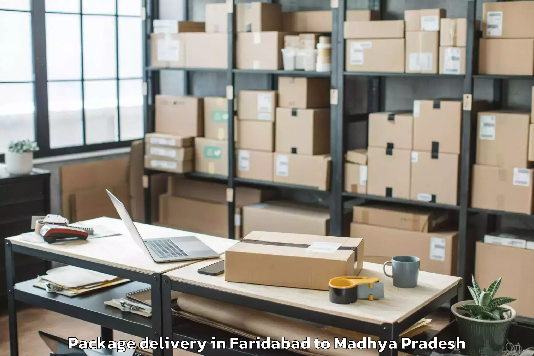 Trusted Faridabad to Malwanchal University Indore Package Delivery